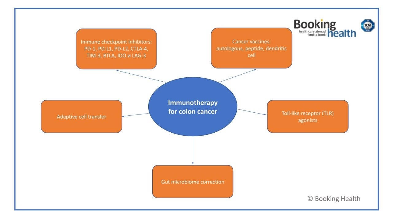 Types of immunotherapy for colon cancer