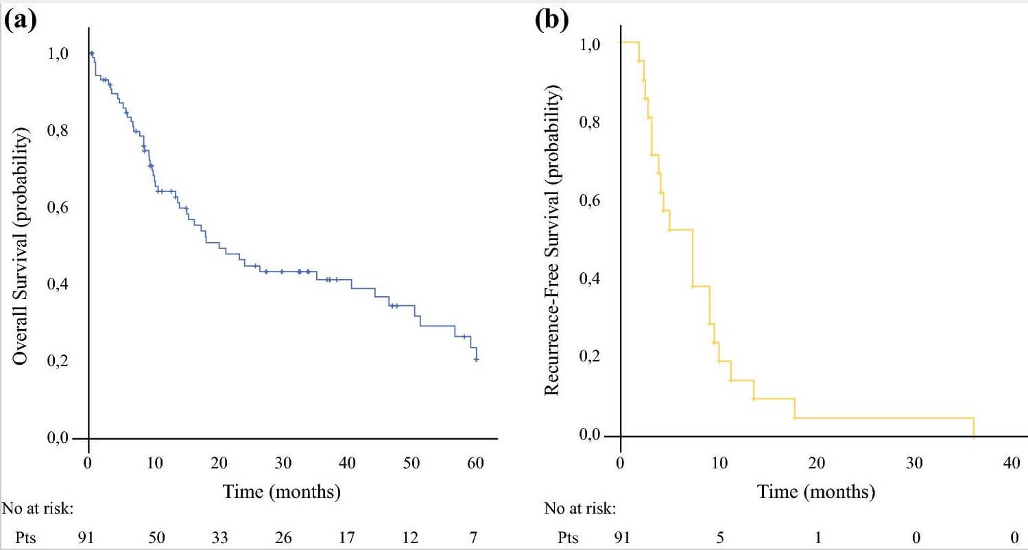 Kaplan–Meier survival curves of patients with peritoneal metastases of gastric carcinoma