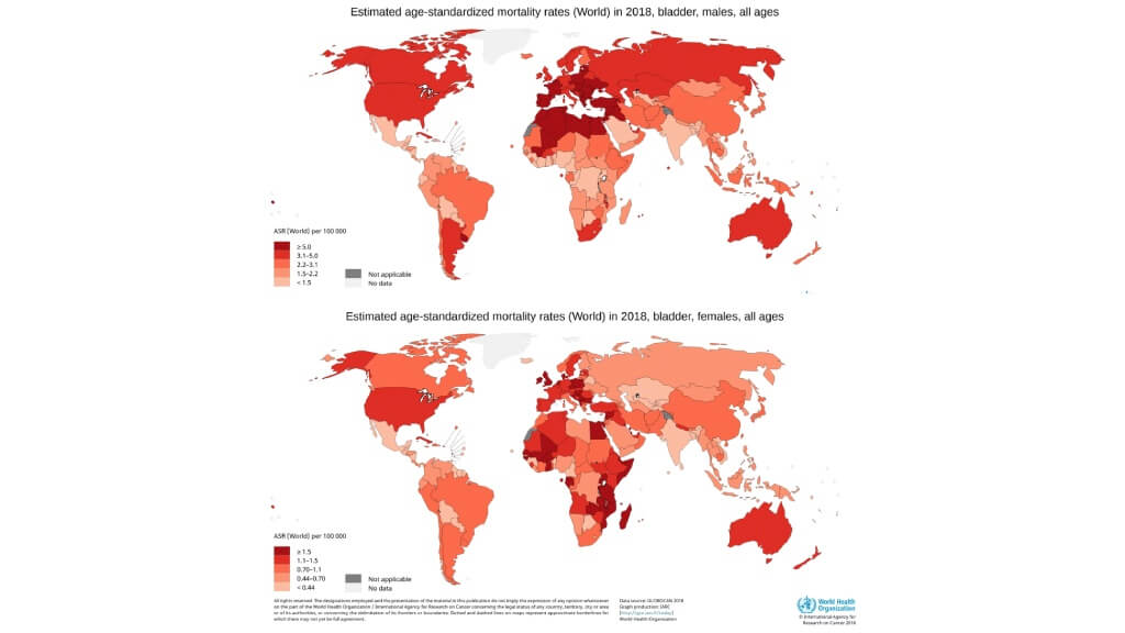 Estimated age-standardized mortality rates