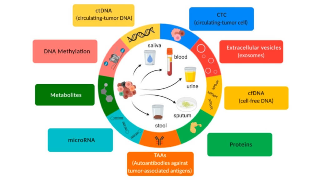 Overview of liquid biopsy. Inspired by Hanahan & Weinberg (192)