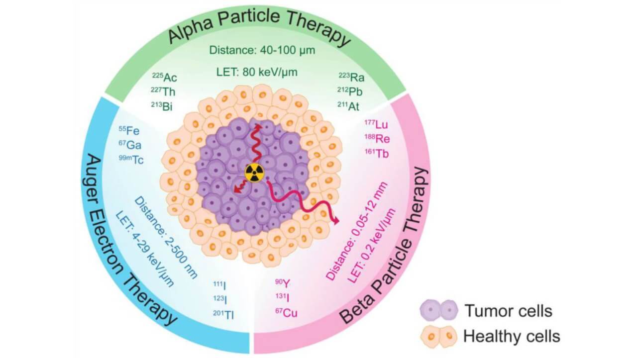 Schematic comparison of the distance traveled and Linear Energy Transfers (LETs) of α, β particles, and Auger electrons in tumor and healthy tissues