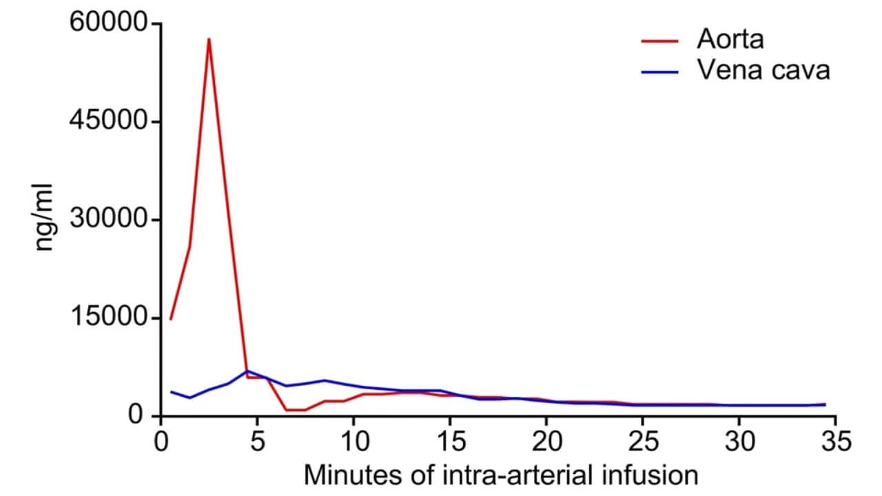 Drug concentrations during intra-arterial infusion