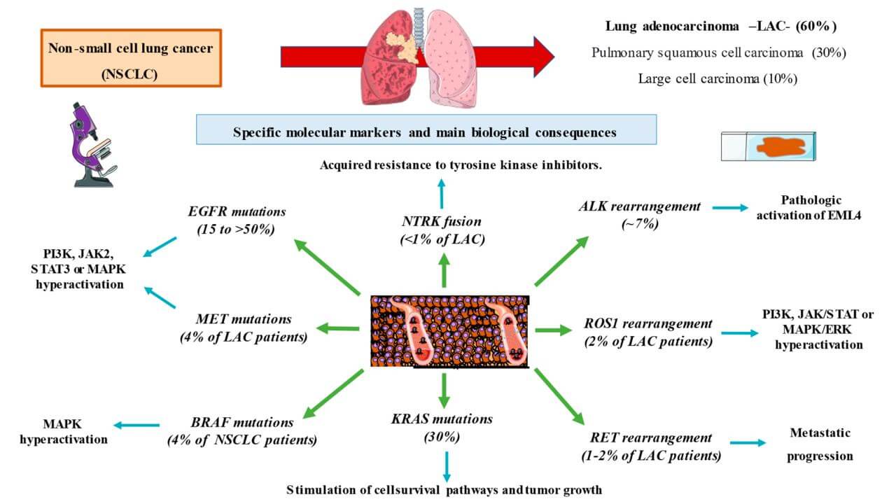A global summary of the specific markers studied in non-small cell lung cancer and their derived biological implications