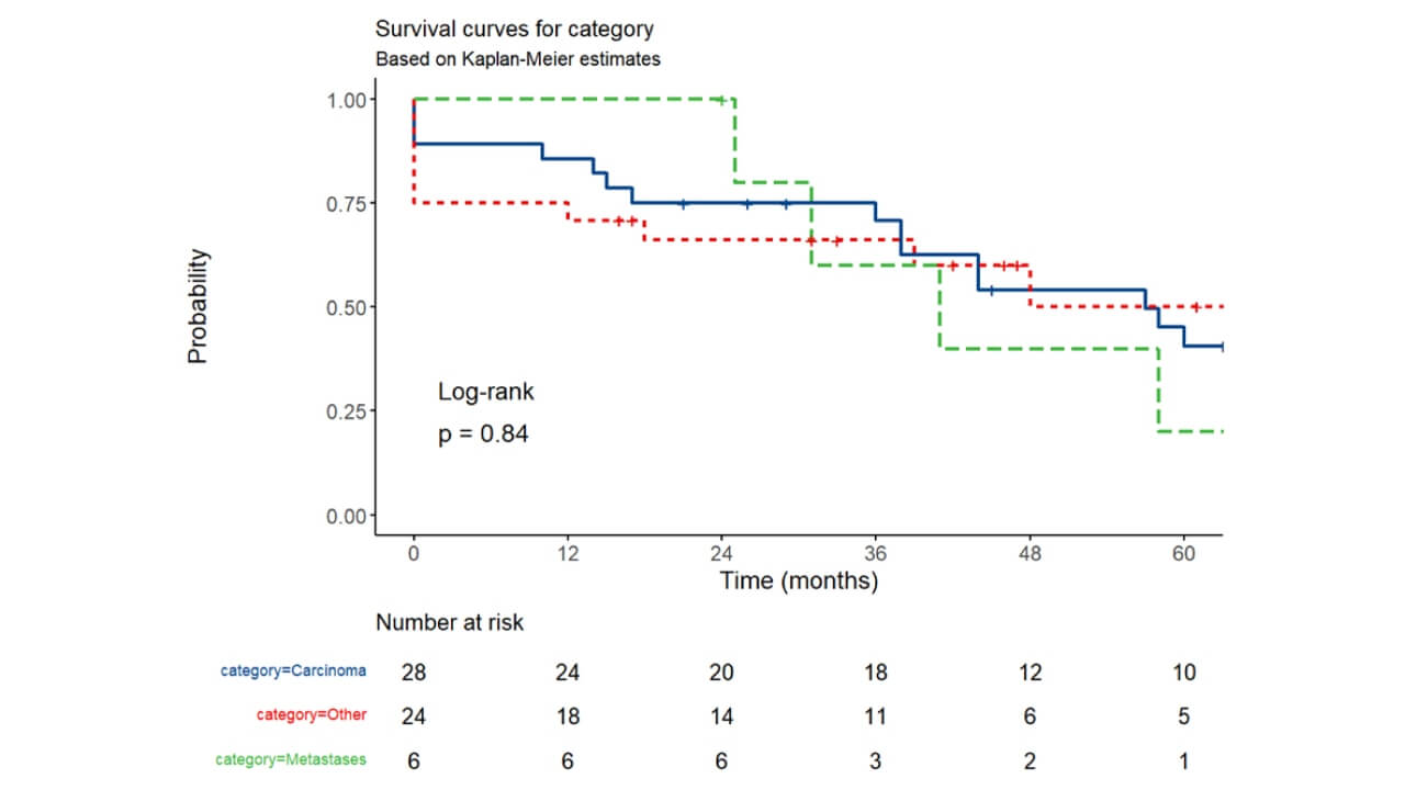 Kaplan-Meier survival curves for carcinomas, small bowel metastases (SB) and other neoplasms (NET, lymphoma, sarcoma, GIST)