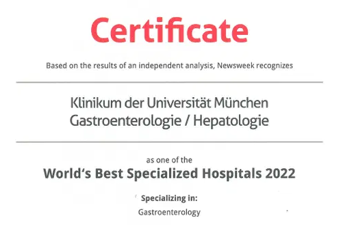 Certificate LMU München - Gastroenterologie - Hepatologie