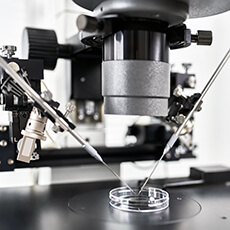 Eurofertil IVF Center Istanbul