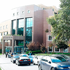 Dr. Ziya Yavuz Hair Transplant Clinic Istanbul