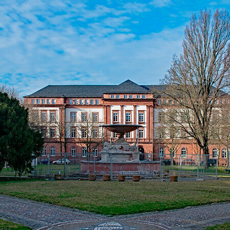 German Centre for Urology and Phalloplasty Surgery Darmstadt